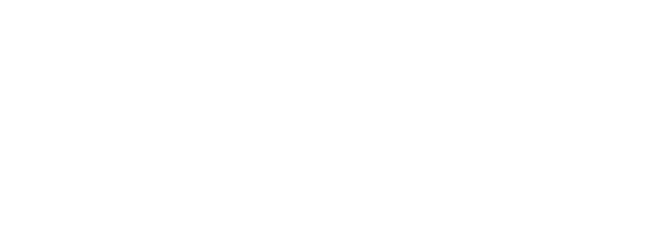QA Logo White