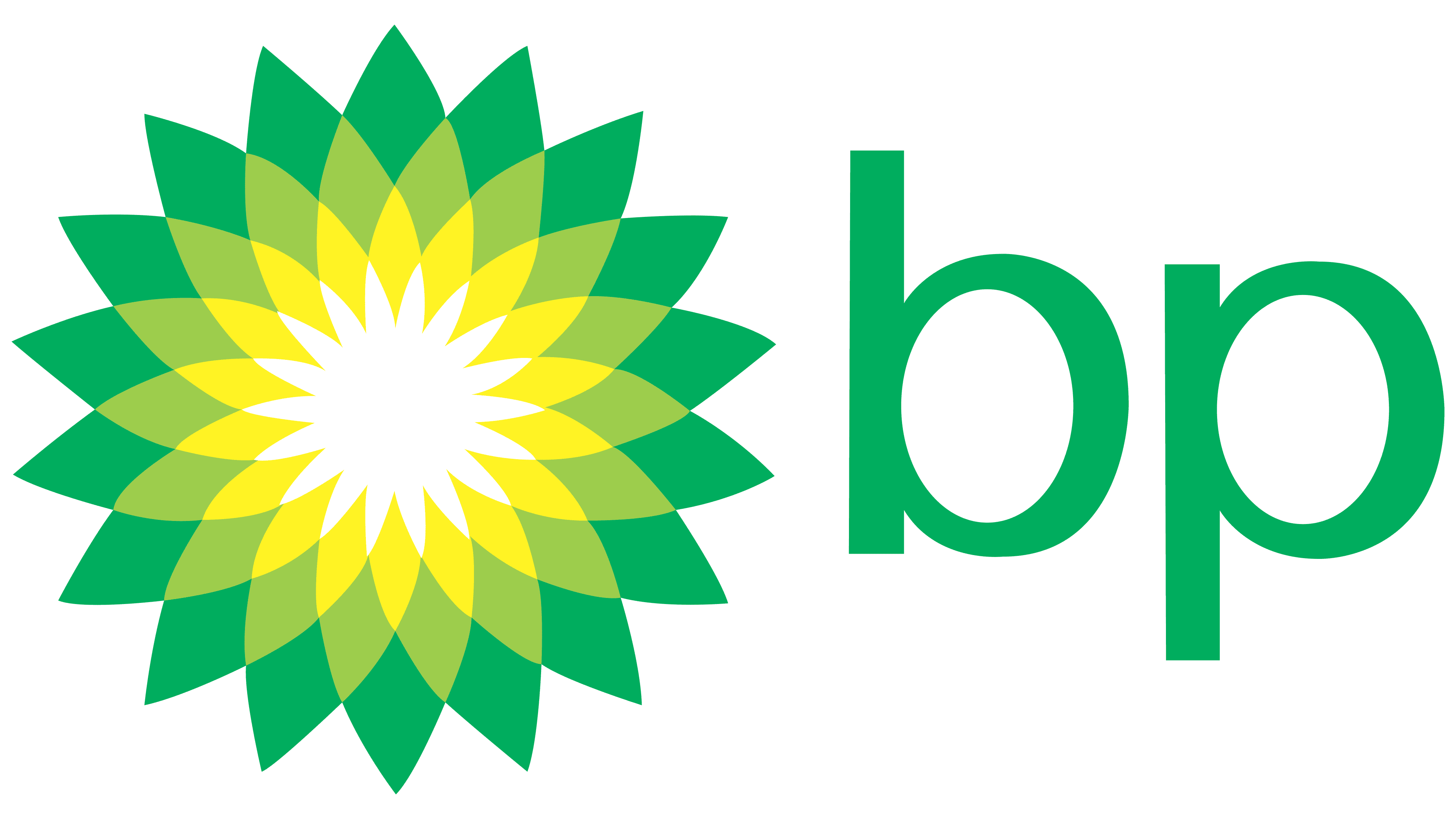 BP Co. Logo